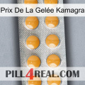 Prix De La Gelée Kamagra levitra1